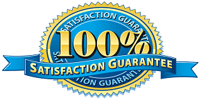 100 Satisfaction in Resume Writing